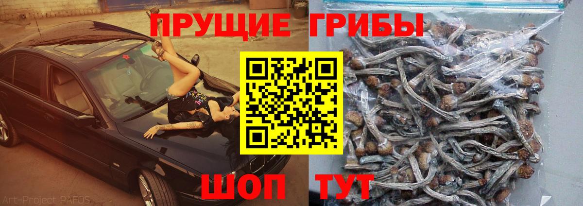 Галлюциногенные грибы Cubensis Шадринск