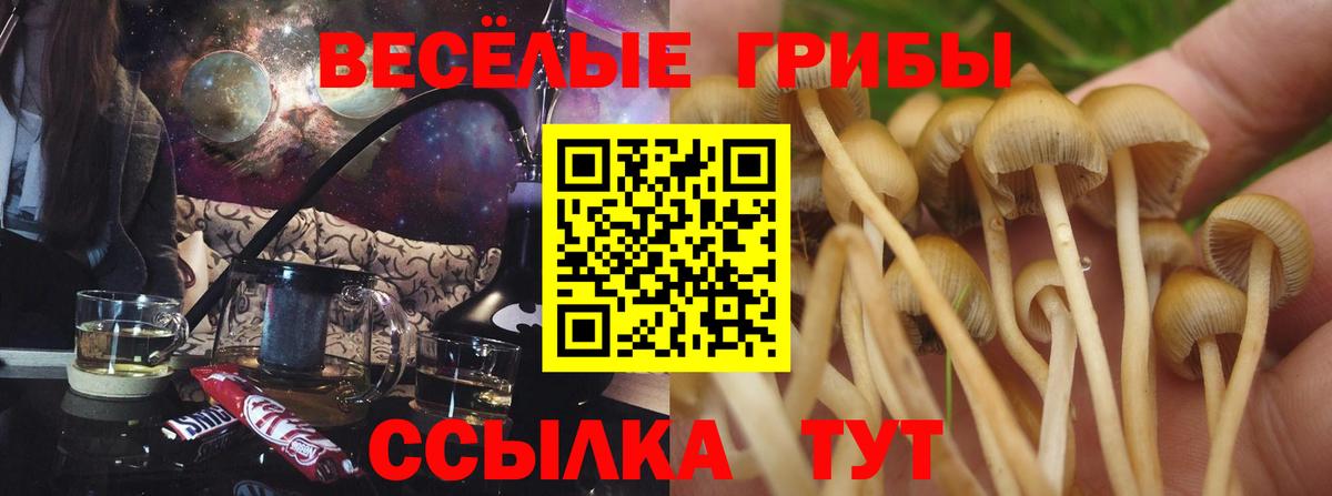 Шадринск  Галлюциногенные грибы мухоморы  Вход с VPN  Псилоцибиновые грибы ЛСД 